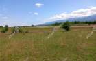 Teren intravilan 5000 mp pe Valea Avrigului, Sibiu - 9