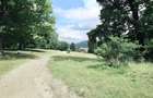 Teren de vanzare 4713 mp investitie | Poiana Brasov - 9