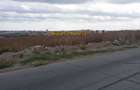 Varianta Constanta-Ovidiu-Teren intravilan 10 Ha ideal parc logistic - 2