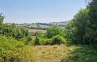 Teren intravilan 4.568 mp, 2 fronturi – Brebu Nou, Caraș-Severin - 1