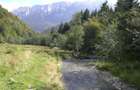 Teren Barsa lui Bucur, Plaiul Foii, Zarnesti - 3