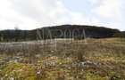 Teren extravilan pentru constructii de vanzare in Popesti - 3