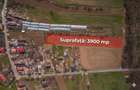 NUCI - BALTA NEAGRA, LOT 7000 MP, LA PADURE! - 2