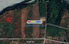 Mogosoaia 2.019 Mp LAC - IDEAL INVESTITIE - 7