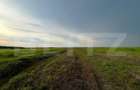 Teren parțial intravilan 23.500 mp, apă, curent și supraveghere video, Bucovăț - 7