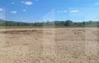 Teren de vânzare 1.600 mp cu deschidere la lac – zona Lacul Surduc - 13