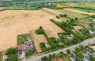 Casă gospodareasca cu teren generos 1,1 Ha in Silistea, Com. Todiresti - 7