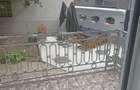 Cismigiu, apartament in vila, 4 camere - 19