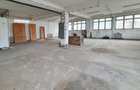 Spatiu productie sau birouri - 320 mp - 6