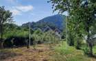 Casa in centrul Cisnadioarei - teren 1177 mp - ideal investitie - 19