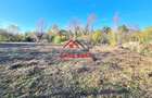 Teren intravilan in Cornu 3171 mp--89.000e - 6