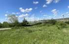 Teren intravilan 12631 mp , Sibiu/ Parc Industrial Selimbar - 11