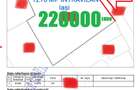 ȚICĂU / SEMICENTRAL IAȘI – OPORTUNITATE RARĂ PENTRU INVESTIȚIE ȘI DEZVOLTARE - 1