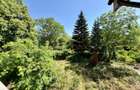 Vila cu 13 camere *4000mp teren* / Piscina / Snagov - 60