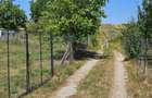 Teren 1.801mp autorizabil pentru constructie casa in Borhanci - 6