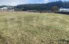 Teren intravilan de vanzare, 12.500 mp, zona Vatra Dornei, Podul Coșnei - 4
