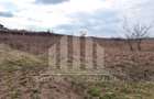 Teren intravilan | De vanzare | 640 mp | 12 ml deschidere | Limba - 3