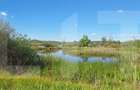Teren de vânzare 1.600 mp cu deschidere la lac – zona Lacul Surduc - 3