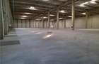 Spatiu Industrial - 3000 mp - Logistica - Productie - Depozitare - Distributie - 4