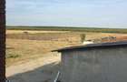 De Vânzare – Fermă de Pomi Fructiferi, 48,8 ha, Iancu Jianu, Jud. Olt - 6