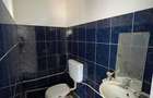 Spatiu comercial, 45 mp - zona Brazda lui Novac - 5