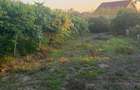 Vând Casă în Cordau  ,com Sanmartin  - 4