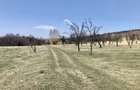 Vanzare teren intravilan- livezi - 3