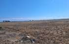 EXCLUSIVITATE! TEREN EXTRAVILAN -10.000 mp – COSTINEȘTI, SCHITU, ZONA RADAR