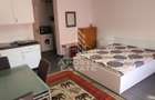 Apartament cu 1 camera de inchiriat in zona Centrala - 3