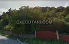 Teren intravilan 3.000 mp, BACAU, TARGU OCNA - 4