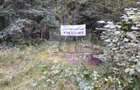 Vand 7000 mp teren intravilan in Predeal- Cioplea- turism