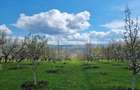 Pamant vanzare | Lac Zigoneni | Valea Lui Enache | Priveliște superba - 11