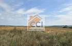 Teren intravilan– 50.000 mp, Bacău, Șoseaua Hol - 3