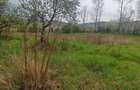 Teren intravilan in suprafata de 3160 mp, Puscasi, Poiana lui Alexa - 3
