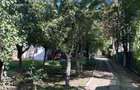 Casă individuală Buftea, 3.162 mp teren, ieșire spre lac - 44