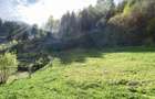 Teren panoramic însorit, utilități, panta mica si pădure, turism sau vacanță - 6