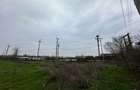 Teren 157.000mp Mogosesti | Giurgiu - 7