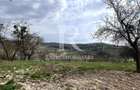 Casa cu livada | teren 2800 mp | Stracos | Bihor