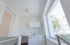 Penthouse deosebit cu 3 camere de inchiriat langa Piata Victoriei - 23