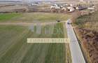 Teren intravilan 2500mp, Bucov - 3