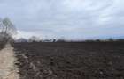 Teren 50000mp Extravilan-Intrare Halchiu-Cod 5235 - 8