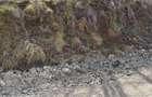 Teren Intravilan 1340 mp -5minute de Casa Armatei 6500eur/ar neg - 2