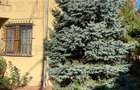 Vila de vanzare in Bucurestii Noi - 2