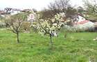 Teren Intravilan zona d-va 2 600mp cu toate utilitatile 100.000eur neg - 5