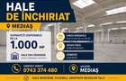 Hala de inchiriat Mediaș  - 1