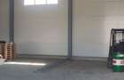 Module hale 120/240/360/480 mp Ciorogarla Autostrada +birou 22 mp - 3