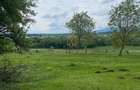 Teren de vânzare în Cisnădioara, aproape de cetate, cu priveliște superbă - 6