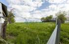 Teren intravilan 4.000 mp Blăgești, Bacău - 9