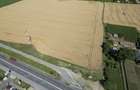 Teren 7653mp cu PUZ aprobat DN Arad Oradea - 5