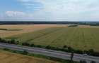 Ciolpani, Teren intravilan 4.5 Hectare - 6